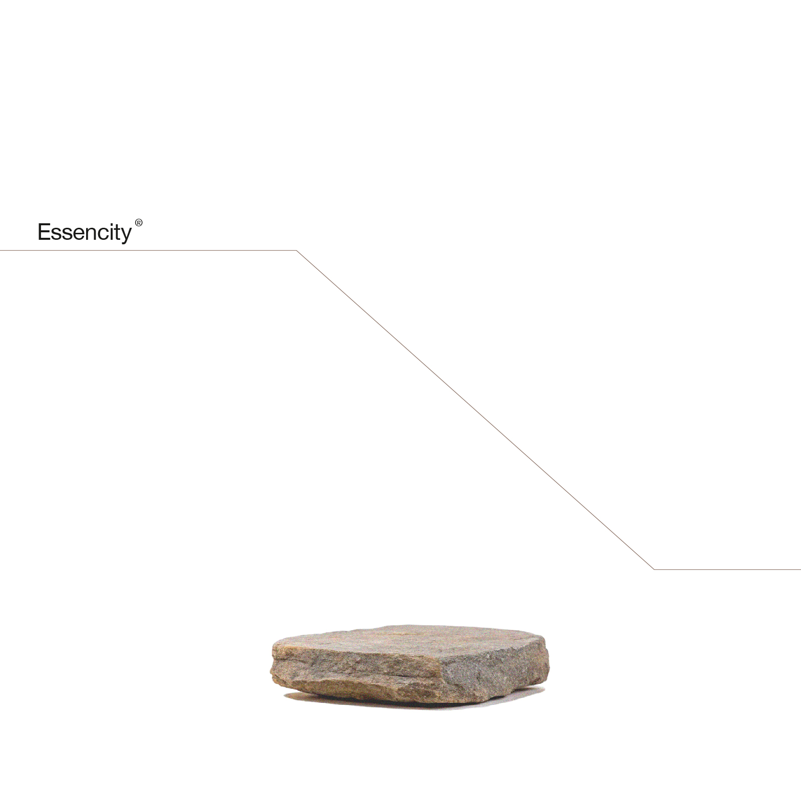 프로젝트 썸네일