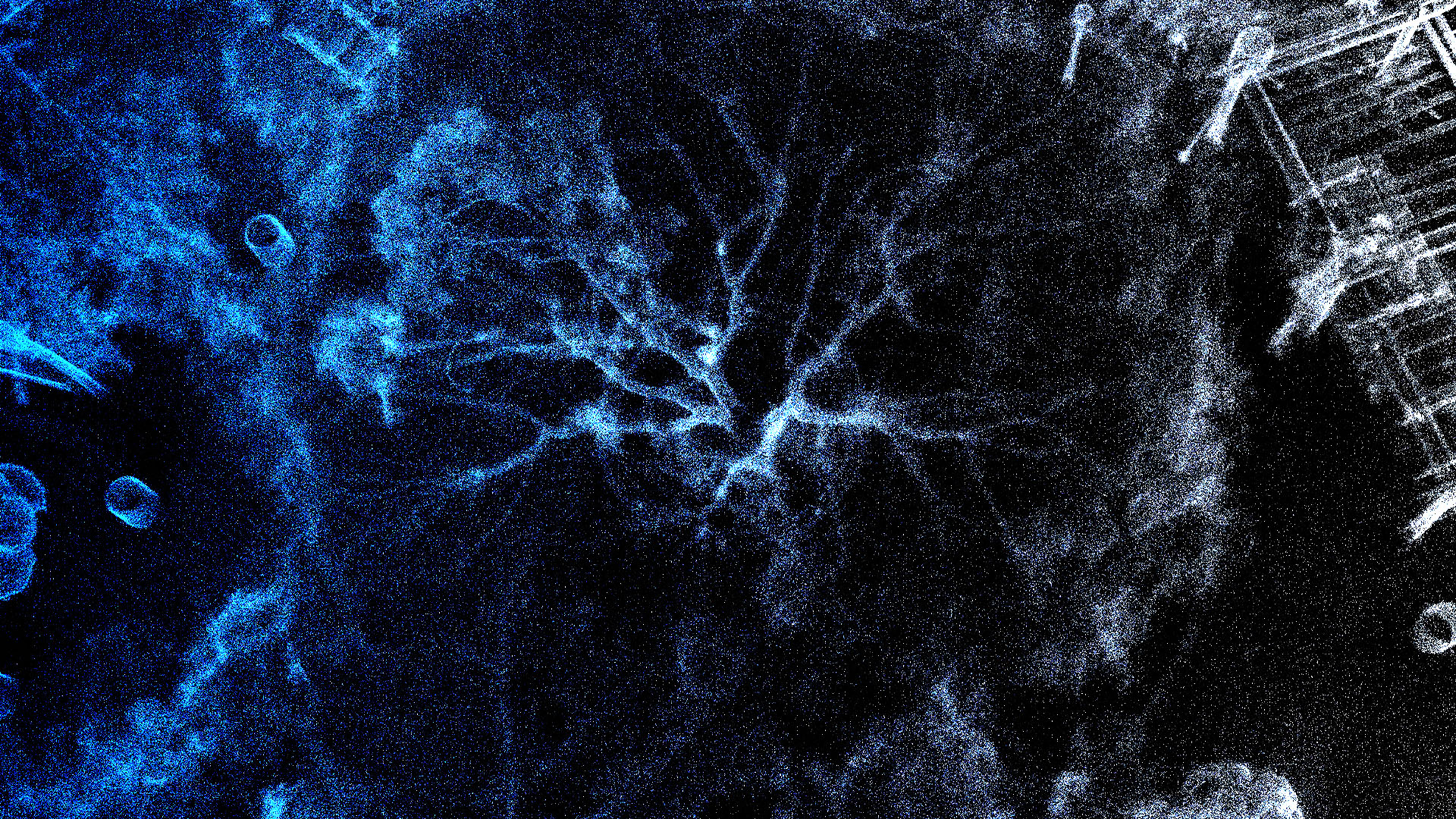 영상_임조원_상단이미지_pc - 임조원.jpg