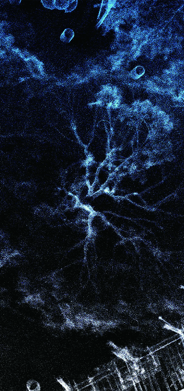 영상_임조원_상단이미지_모바일 - 임조원.jpg